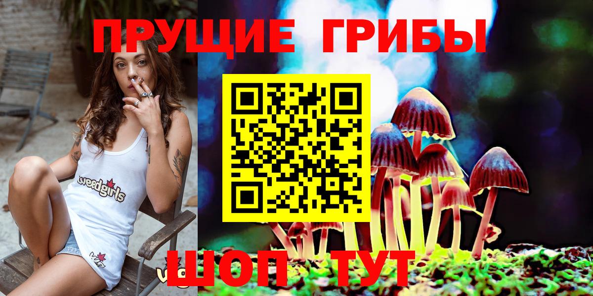 Галлюциногенные грибы мицелий Россошь