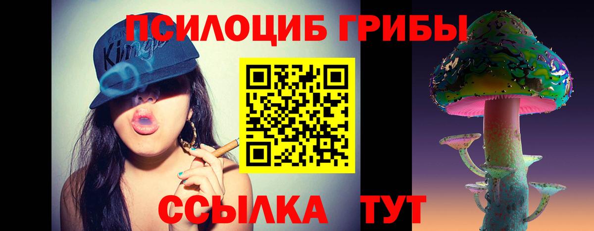 Галлюциногенные грибы MAGIC MUSHROOMS  Вход с VPN  Россошь  Галлюциногенные грибы MAGIC MUSHROOMS 